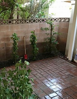 Rebuild Paver Patio in Scottsdale After